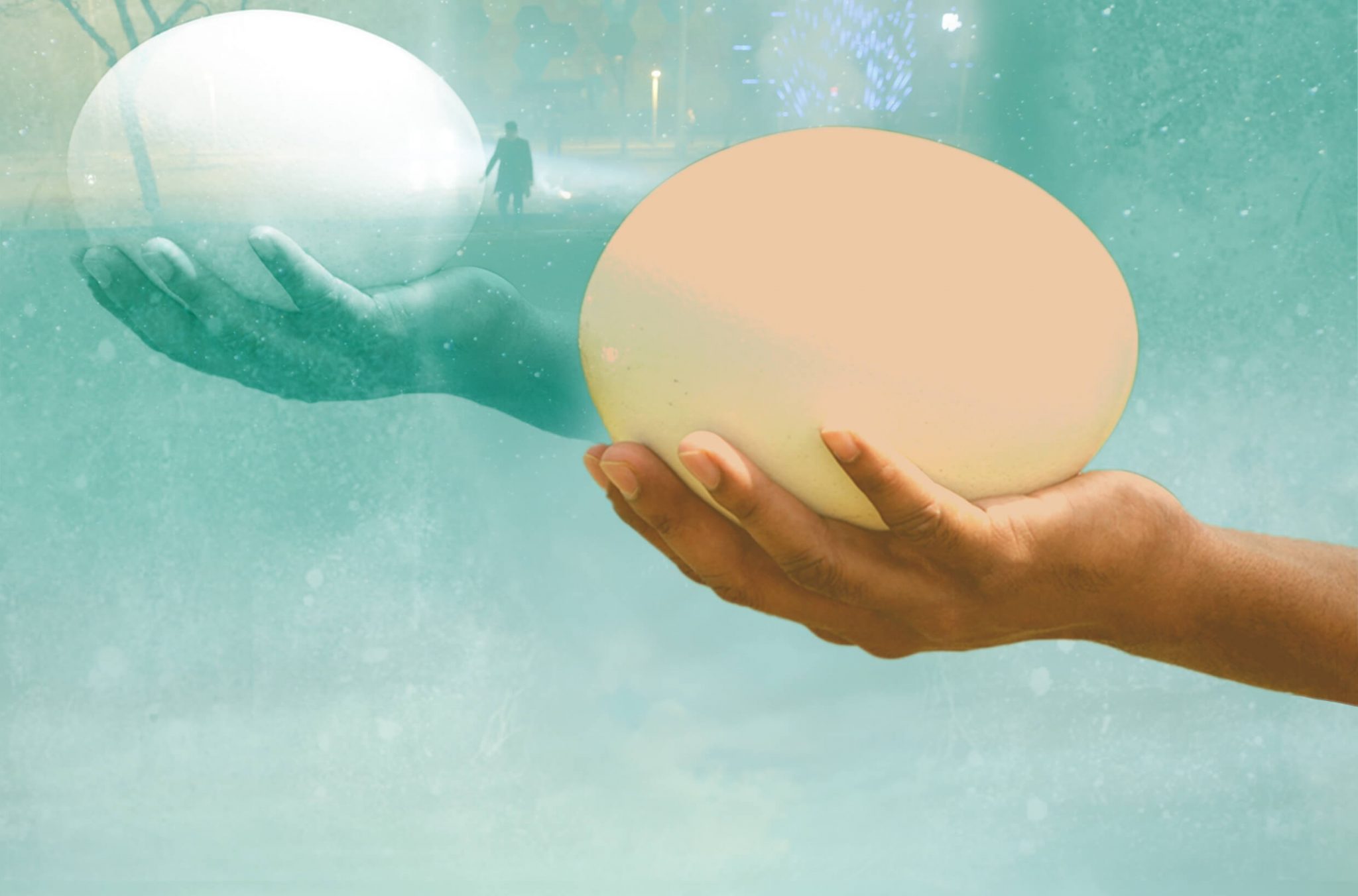 The Egg